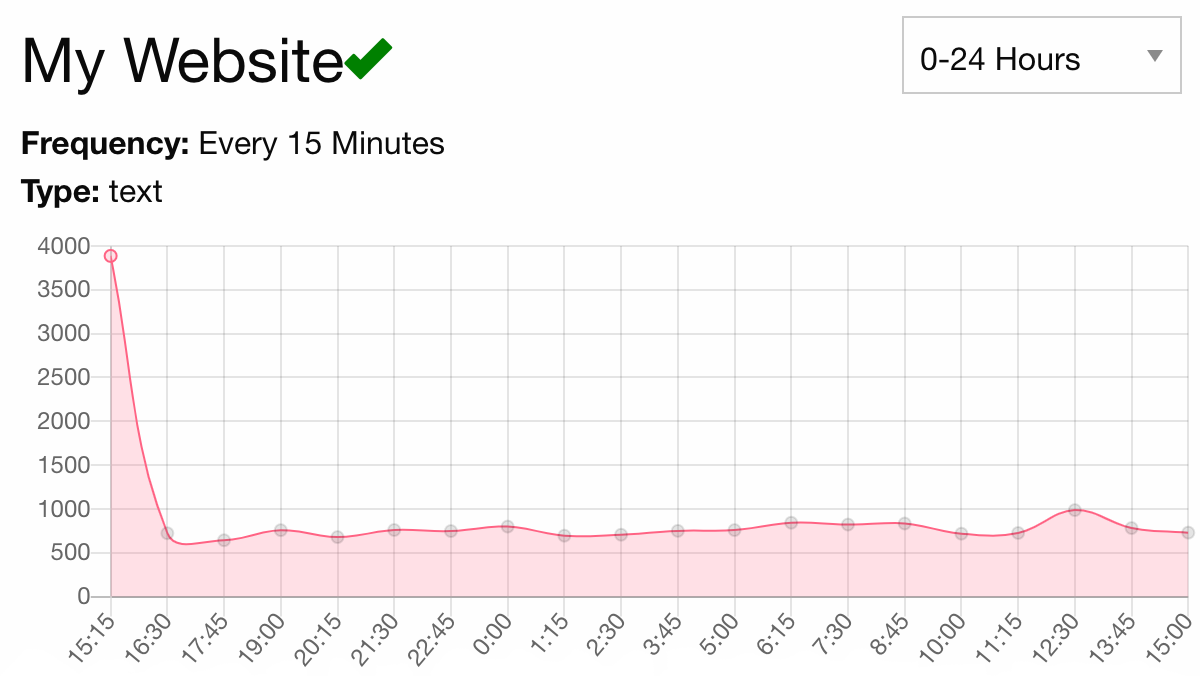 Website Monitoring